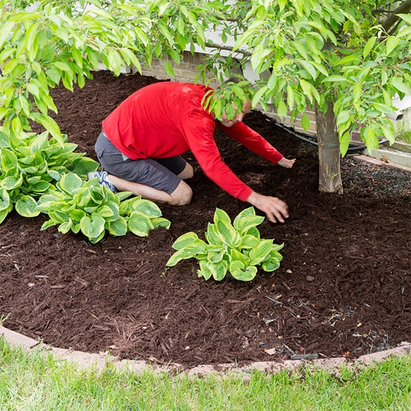 mulch installation can help suppress weed growth and reduce the need for chemical weed control